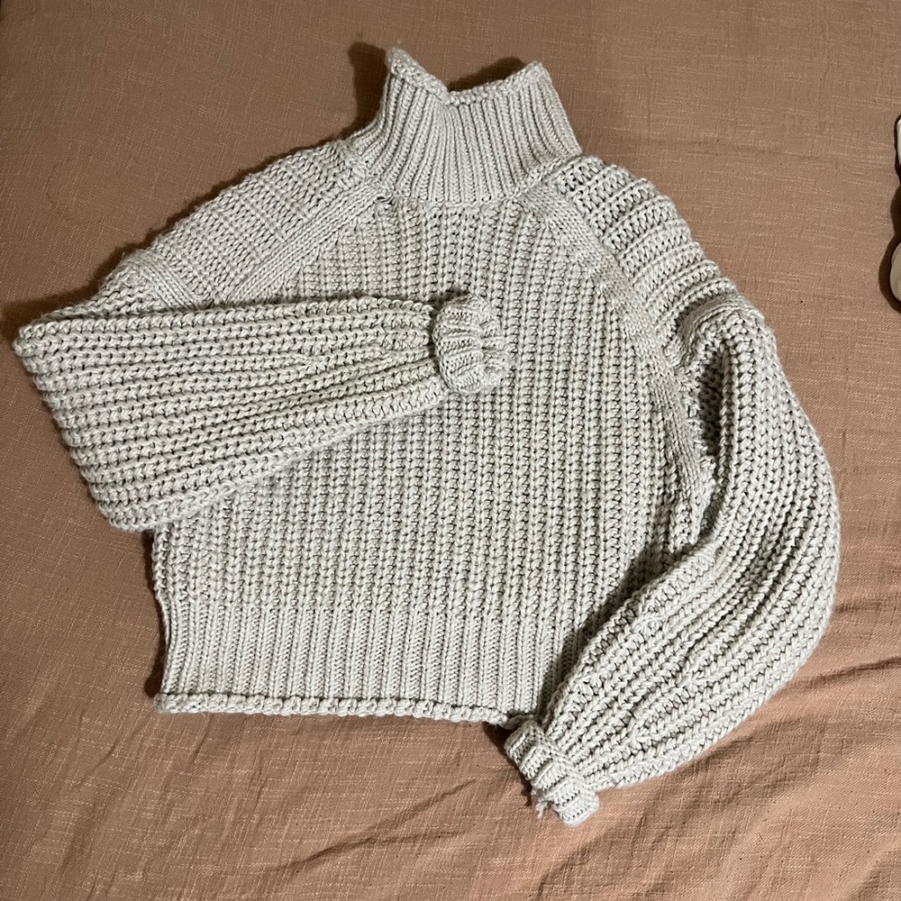 H&M turtleneck cropped sweater